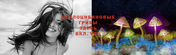 соль ск Алексин