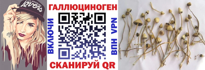 Галлюциногенные грибы ЛСД Могоча