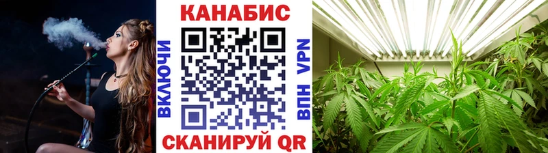 Канабис семена  Могоча 