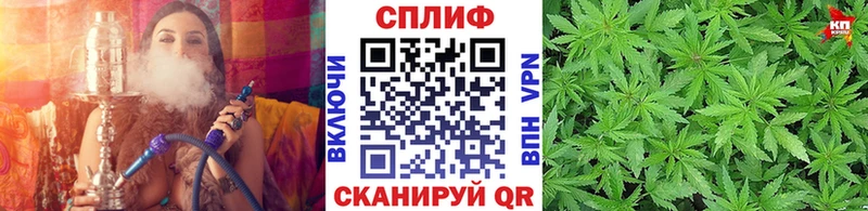 Каннабис Bruce Banner Могоча
